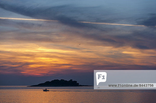 Kroatien  Vrsar  Sonnenuntergang über Meer mit Boot