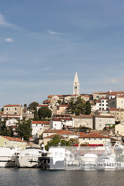 Croatia  Istria  Vrsar  Parish Church of St. Martin above the harbour