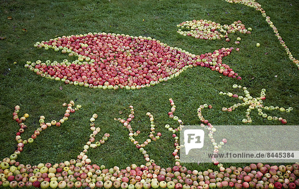 Germany,  Schleswig-Holstein,  Fish image shaped with apples