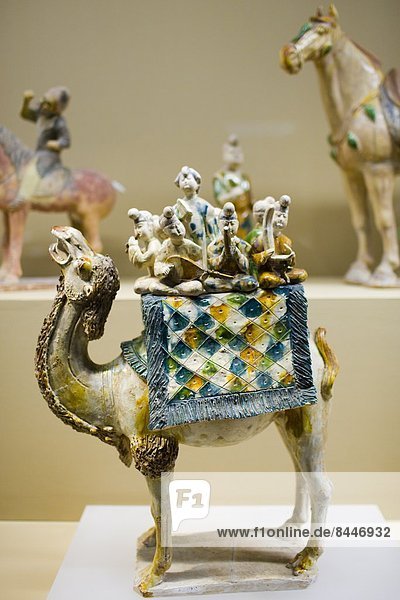 zeigen  Geschichte  Museum  Figur  China  Kamel  Xian