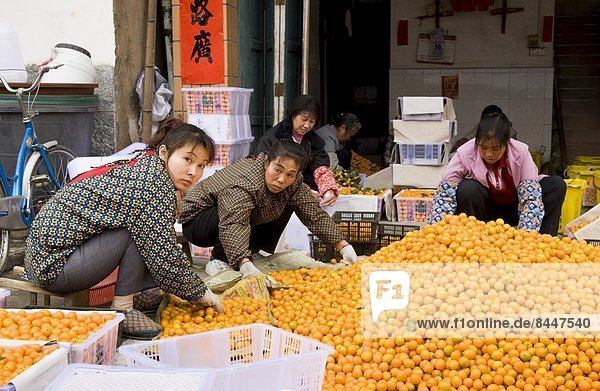 nahe  Frau  arbeiten  Stadt  sortieren  China  Guilin  Markt