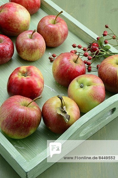 Äpfel und Beeren auf einem Tablett