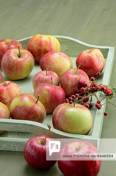 Äpfel und Beeren auf einem Tablett