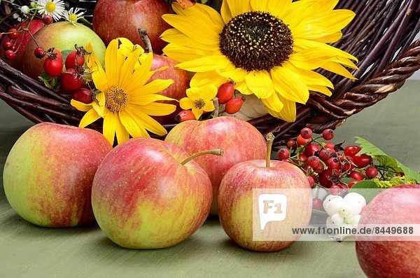 Äpfel und Blumen in einem Korb