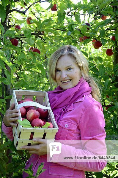 Lächelnde Frau hält einen Korb mit Äpfeln