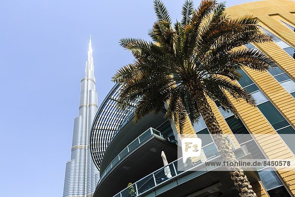 Vereinigte Arabische Emirate  VAE  Naher Osten  Dubai