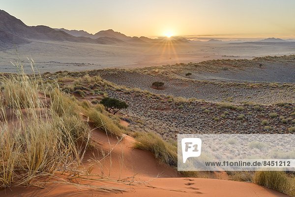 Sonnenaufgang Namibia Namib Düne Afrika