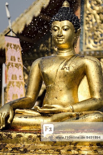 Wasser  Fest  festlich  Statue  Heiligtum  Buddha  Chiang Mai  neu  thailändisch  Thailand  Jahr