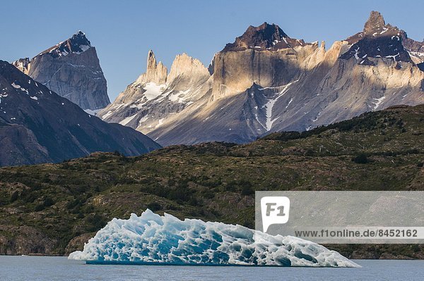 Iceberg on Lago Grey lake in the Torres del Paine National Park  Patagonia  Chile  South America