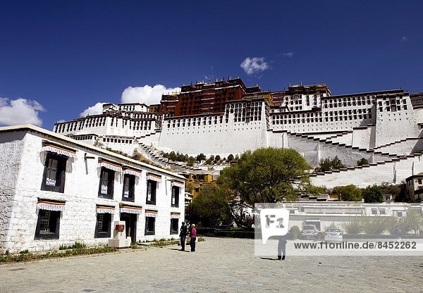 The Potala Palace  UNESCO World Heritage Site  Lhasa  Tibet  China  Asia