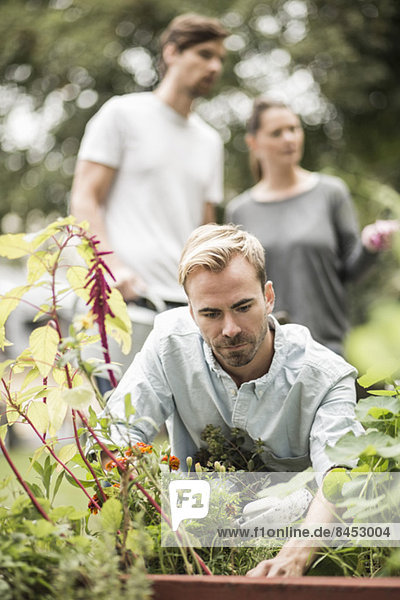 Man gardening while friends standing in background at garden