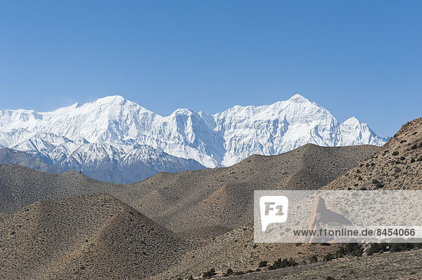 Vegetationsarme Hügelkette  hinten der schneebedeckte Berg Nilgiri-Nord  7061 m  Annapurna-Kette  bei Samar  Oberes Mustang  Lo  Nepal