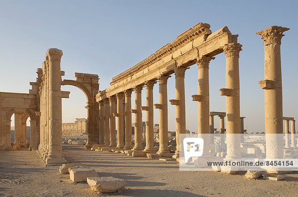 Ruins of the ancient city of Palmyra in the morning light  Palmyra District  Homs Governorate  Syria