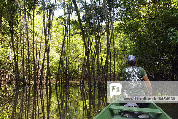 Man travelling in a canoe on the Rio Solimões river in the flooded Várzea-jungle  Mamirauá National Park  Manaus  Amazonas  Brazil