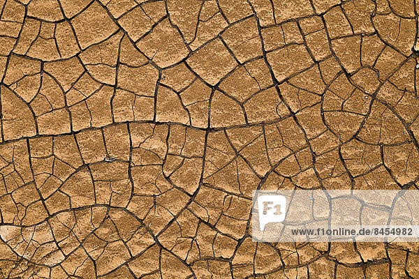 Lehmstruktur  gesprungene Kruste eines ausgetrockneten Wasserlochs  Boa Vista  Kapverden