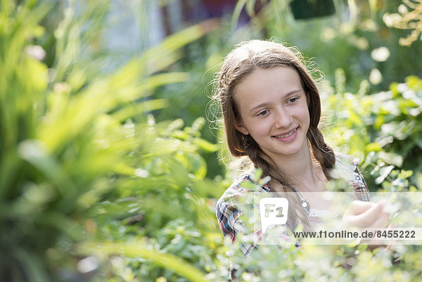 Summer on an organic farm. A young girl in a plant nursery full of flowers.