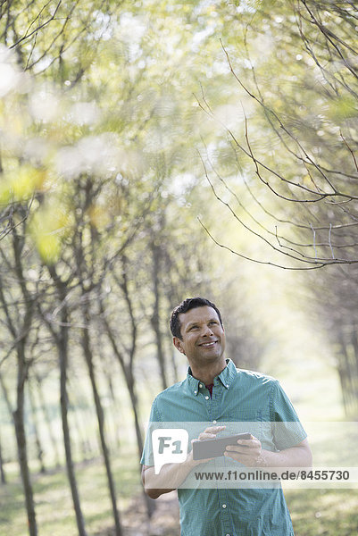 Ein Mann steht in einer Baumallee und hält ein digitales Tablett in der Hand.