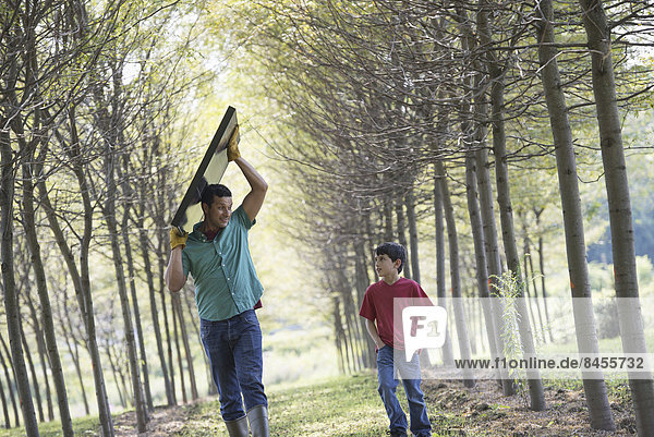 Ein Mann  der einen Sonnenkollektor eine Baumallee hinunterträgt  begleitet von einem Kind.