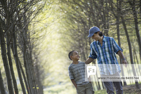 A man and a young boy walking down an avenue of trees.