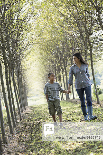 A woman and a young boy holding hands  walking in woods.