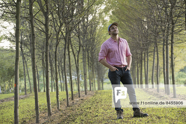 A man standing in an avenue of trees  looking upwards.