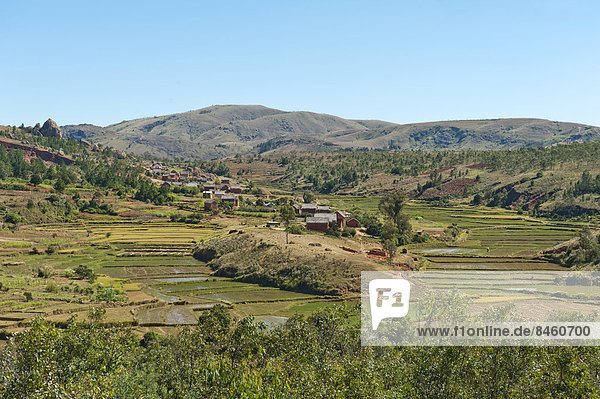 Dorf der Volksgruppe der Merina  Reisfelder in Terrassen  bei Antananarivo  Madagaskar