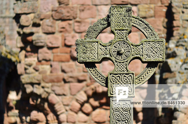 Keltisches Kreuz in den Ruinen des Benediktinerklosters Lindisfarne  Lindisfarne  Northumbria  England  Großbritannien