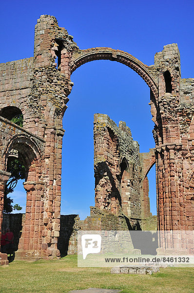 Ruinen des Benediktinerklosters Lindisfarne  Lindisfarne  Northumbria  England  Großbritannien
