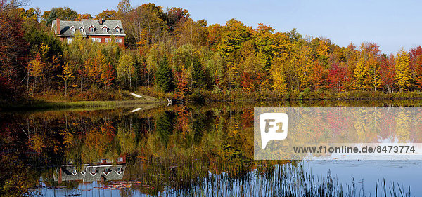 zwischen inmitten mitten Wohnhaus Baum Herbst Biber Kanada Teich Quebec