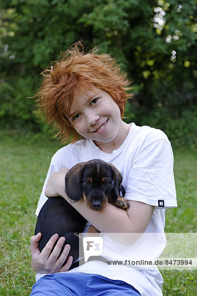 Boy holding wire-haired dachshund puppy in his arms  Germany