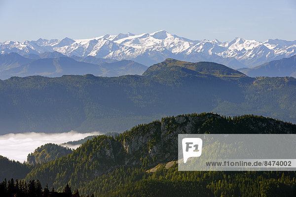 Großvenediger über Fellhorn vom Hochfelln  Bergen  Chiemgauer Alpen  Oberbayern  Bayern  Deutschland