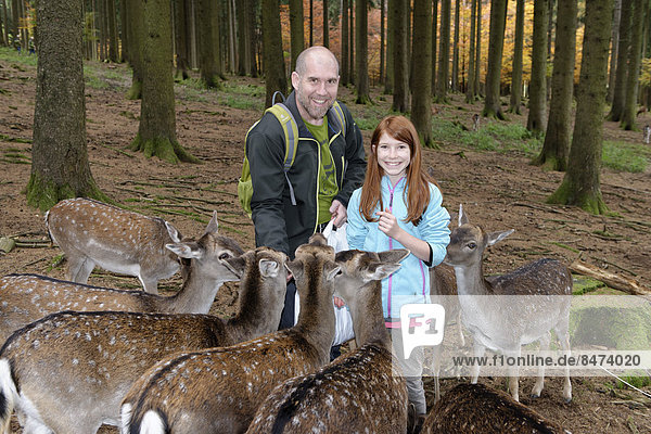 Father and daughter feeding deer  Poing Wildlife Park  Upper Bavaria  Bavaria  Germany