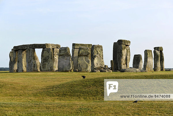Stonehenge  UNESCO Weltkulturerbe  Salisbury Plain  Wiltshire  England  Großbritannien