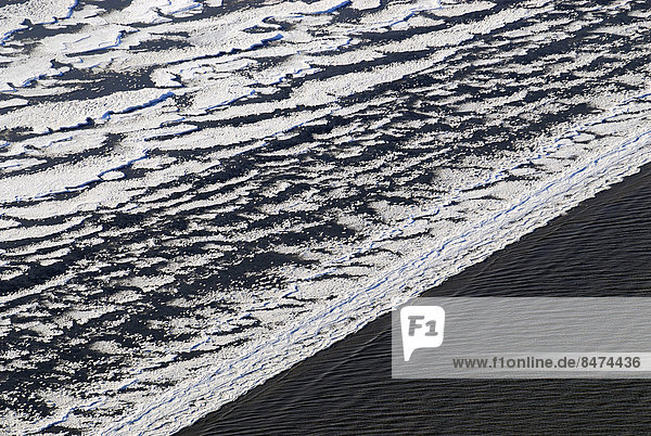 Ice on the Elbe River  ice floes are deposited on the beach by the tides  bizarre ice floes on the Elbe River  Hamburg  Germany
