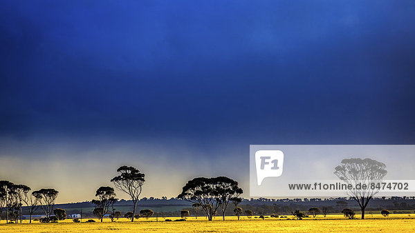Dunkle Gewitterwolken ziehen heran  Western Australia  Australien