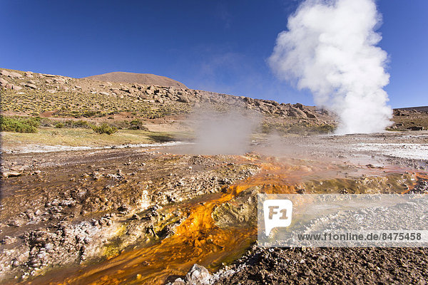 Geysire El Tatio  Anden  Atacama-Wüste  Nordchile  Chile