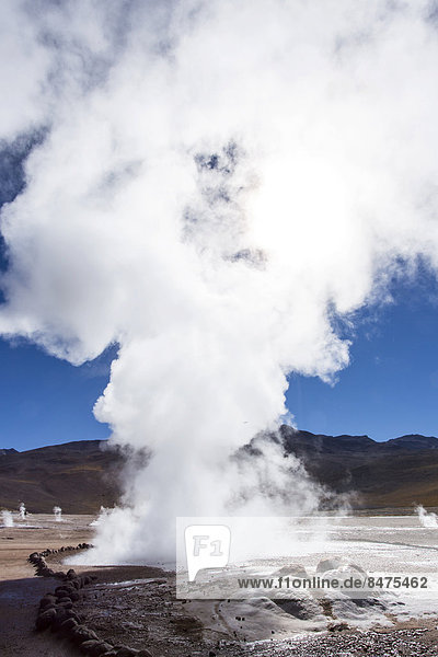 Geysire El Tatio  Anden  Atacama-Wüste  Nordchile  Chile