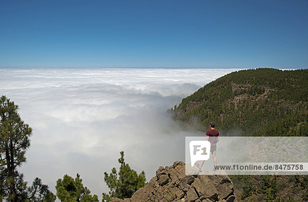 Wanderer mit Ausblick auf den Teide-Nationalpark  UNESCO Weltnaturerbe  Kiefernwald  Kanarische Kiefer (Pinus canariensis)  Passatwolken  Teneriffa  Kanaren  Spanien