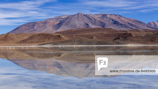 Der See Laguna Ramaditas  Departamento PotosÌ  Altiplano-Hochland  Anden  Bolivien