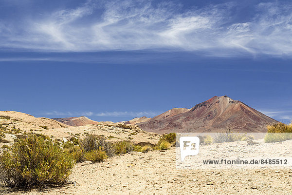 Landschaft im Altiplano-Hochland  Anden  Bolivien