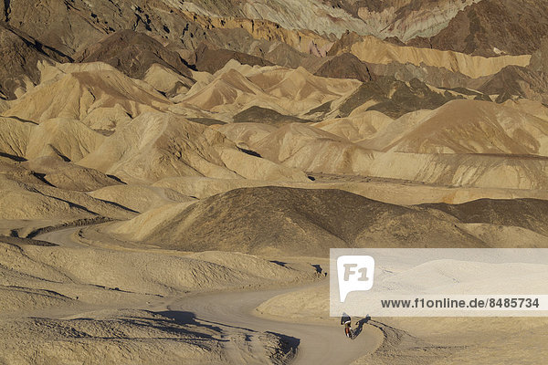 'Radfahrer f‰hrt auf der Stra_e durch die Badlands im ''Twenty Mule Team Canyon'' im Morgenlicht  Death Valley  Death-Valley-Nationalpark  Kalifornien  USA'