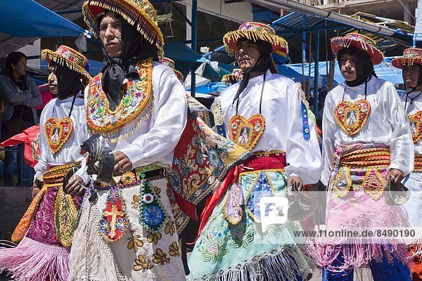 Lama  Lama buanicoe glama  Vorbereitung  Religion  Festival  Peru  Südamerika