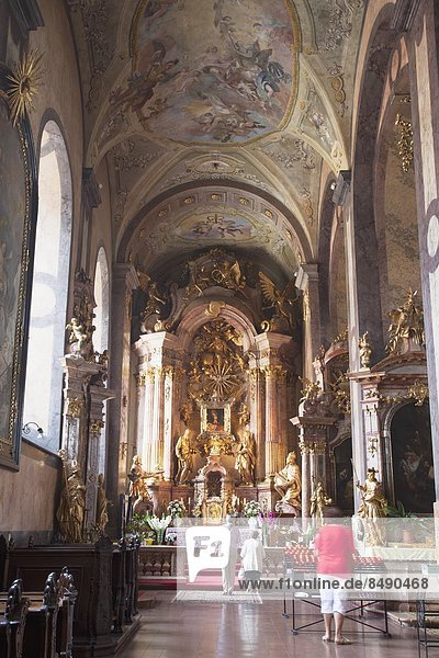 weinen  Europa  Kathedrale  innerhalb  Jungfrau Maria  Madonna  Ungarn