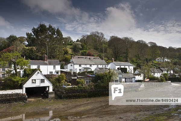 Mündung Gewässer Großbritannien Gebäude weiß Gezeiten Ignoranz Dorf streichen streicht streichend anstreichen anstreichend Cornwall England