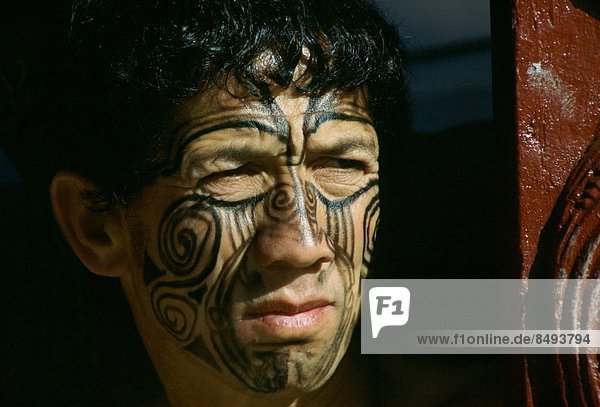 Mann  streichen  streicht  streichend  anstreichen  anstreichend  Maori  neu