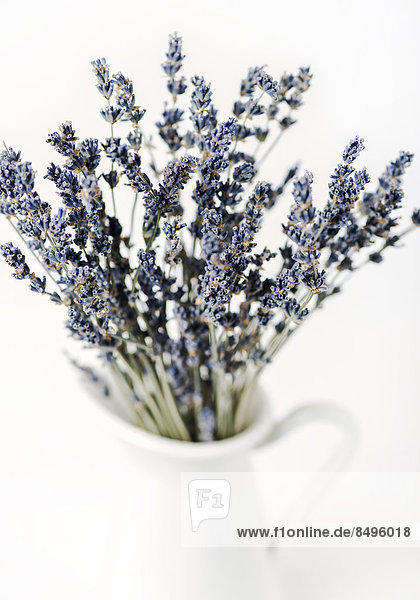 Getrocknete Lavendelblüten in Vase