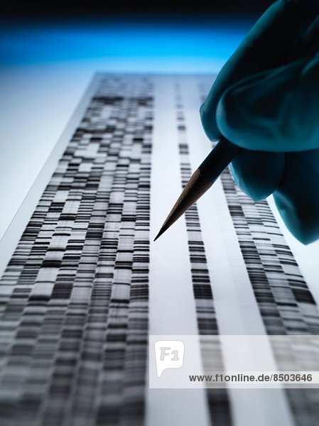 Wissenschaftler sehen DNA-Gel  das in der Genetik  Forensik  Pharmaforschung  Biotechnologie und biomedizinischen Wissenschaften verwendet wird.