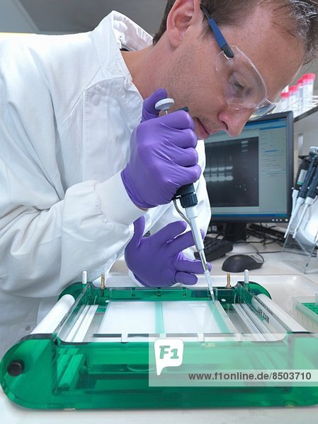 Forscher lädt eine DNA-Probe in ein Agarosegel zur Auftrennung durch Elektrophorese