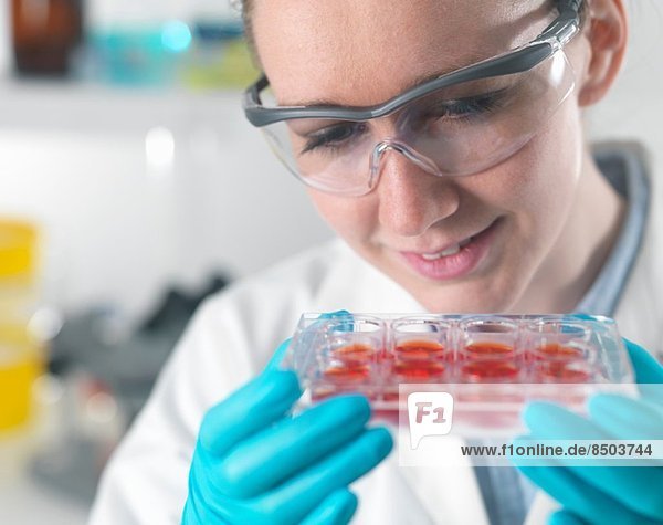 Wissenschaftlerin untersucht Stammzellkulturen im Labor