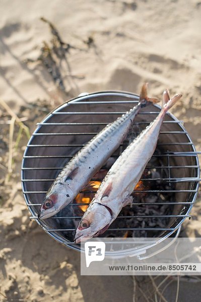Two fish cooking over hot coals